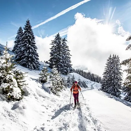 Les Jacinthes Jc17 Mountain & Sun 4 Pers